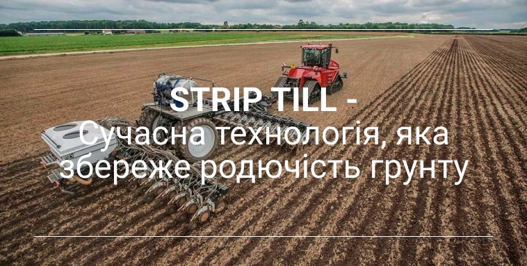 сівалки стріп тілл  хелсісоїл