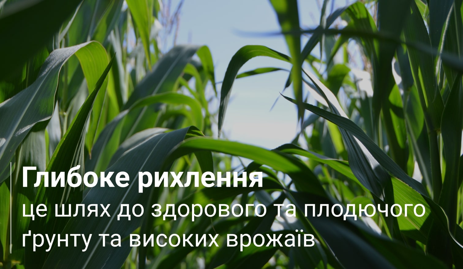 глибоке рихлення грунту Healthysoil