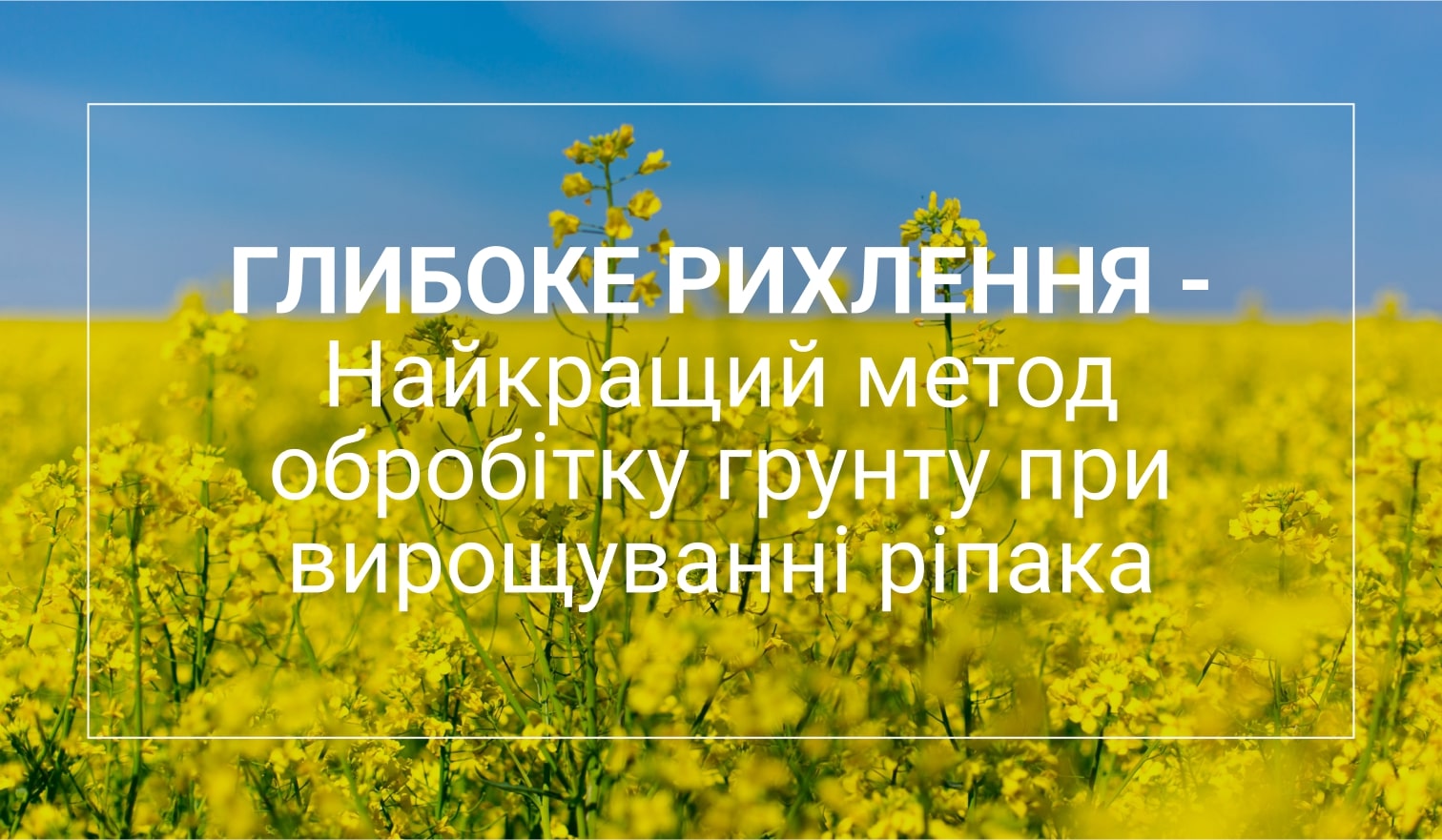 рихлення грунту для ріпаку healthysoil