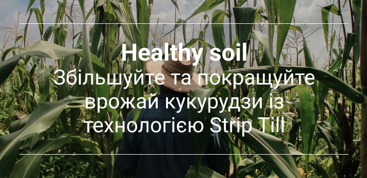 технологія вирощування кукурудзи на зерно хелсісоіл

