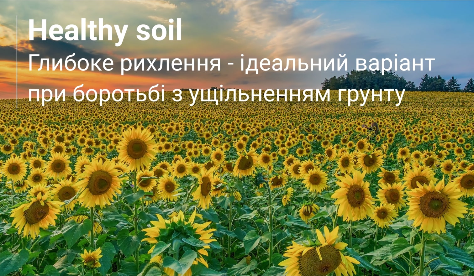 що таке ущільнення ґрунту healthysoil
