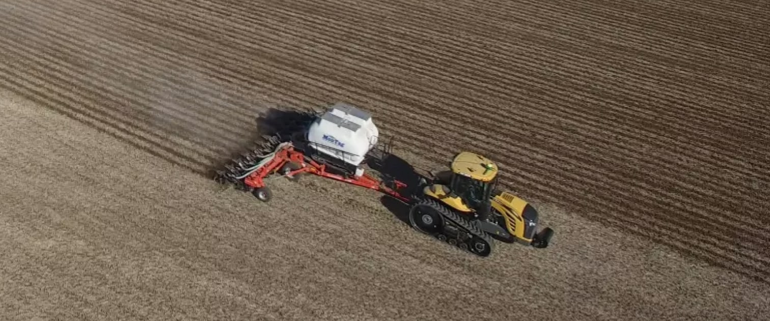 вирощування кукурудзи strip till healthy soil