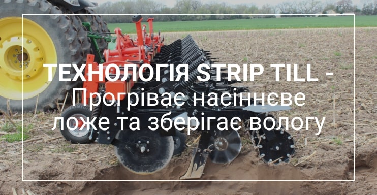 кукурудза вирощування healthysoil