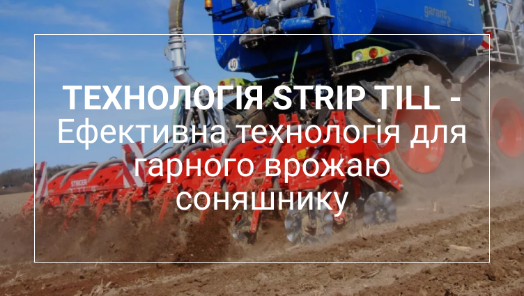технологія вирощування соняшника healthysoil