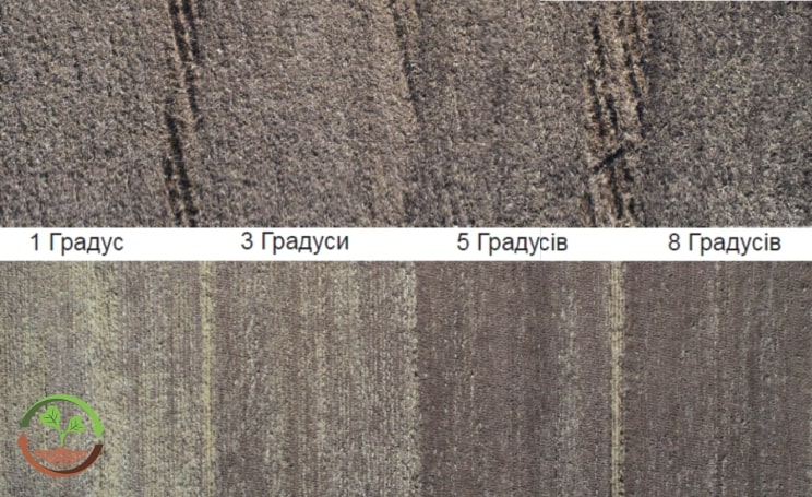як позбутися буряну healthysoil