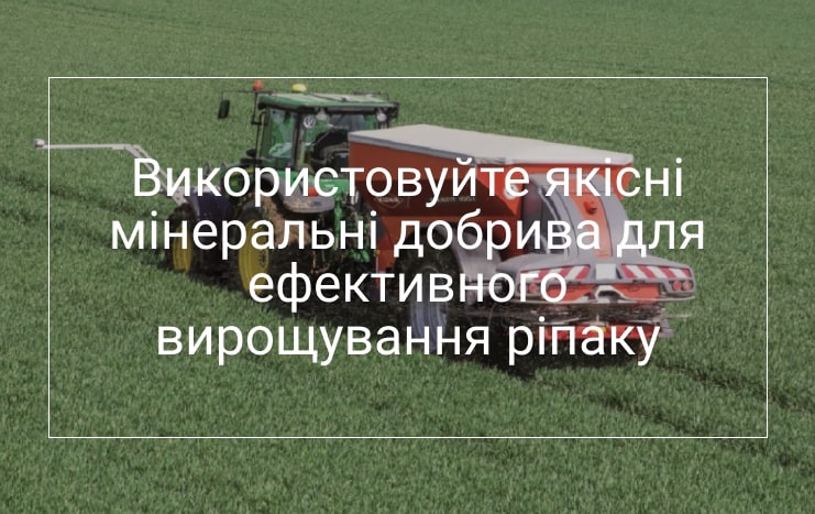 технологія вирощування ріпаку Healthysoil