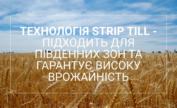 мінеральне живлення рослин хелсісоіл
