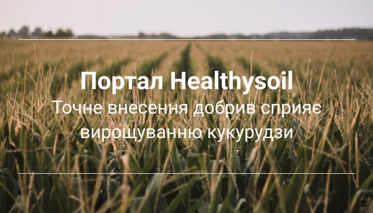 рослини живлення Healthy soil