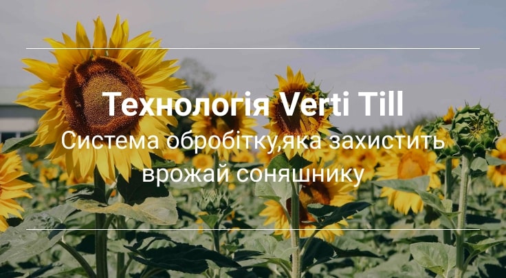 технологія вирощування соняшника Healthy soil