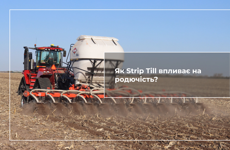 Strip Till технологія