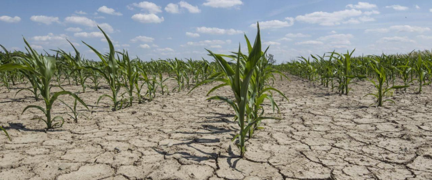 vertical tillage