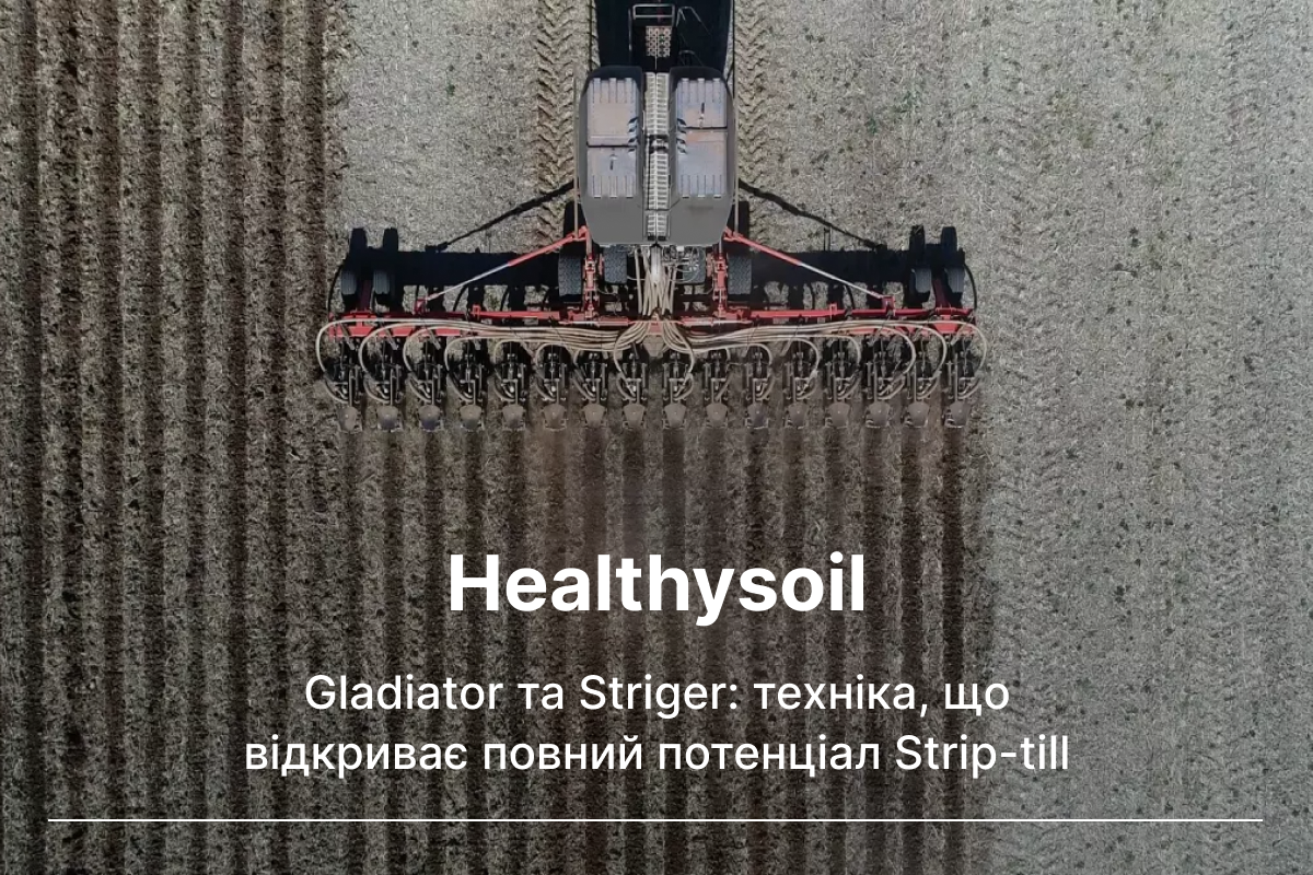 коли застосовувати стріп тіл