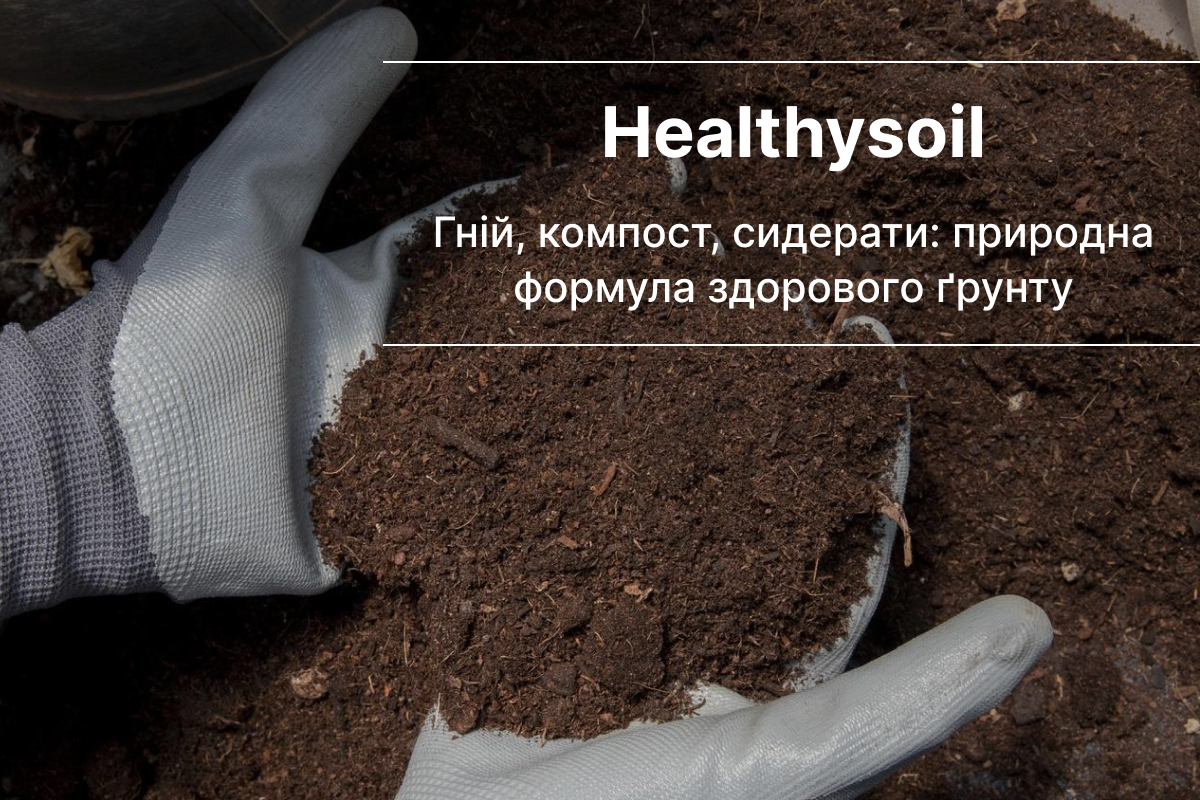 як використовувати гній на добриво