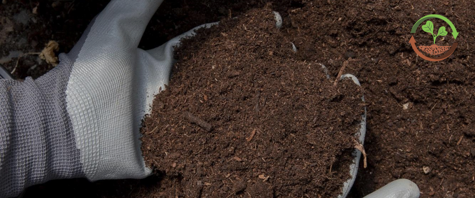 сидерати на зиму