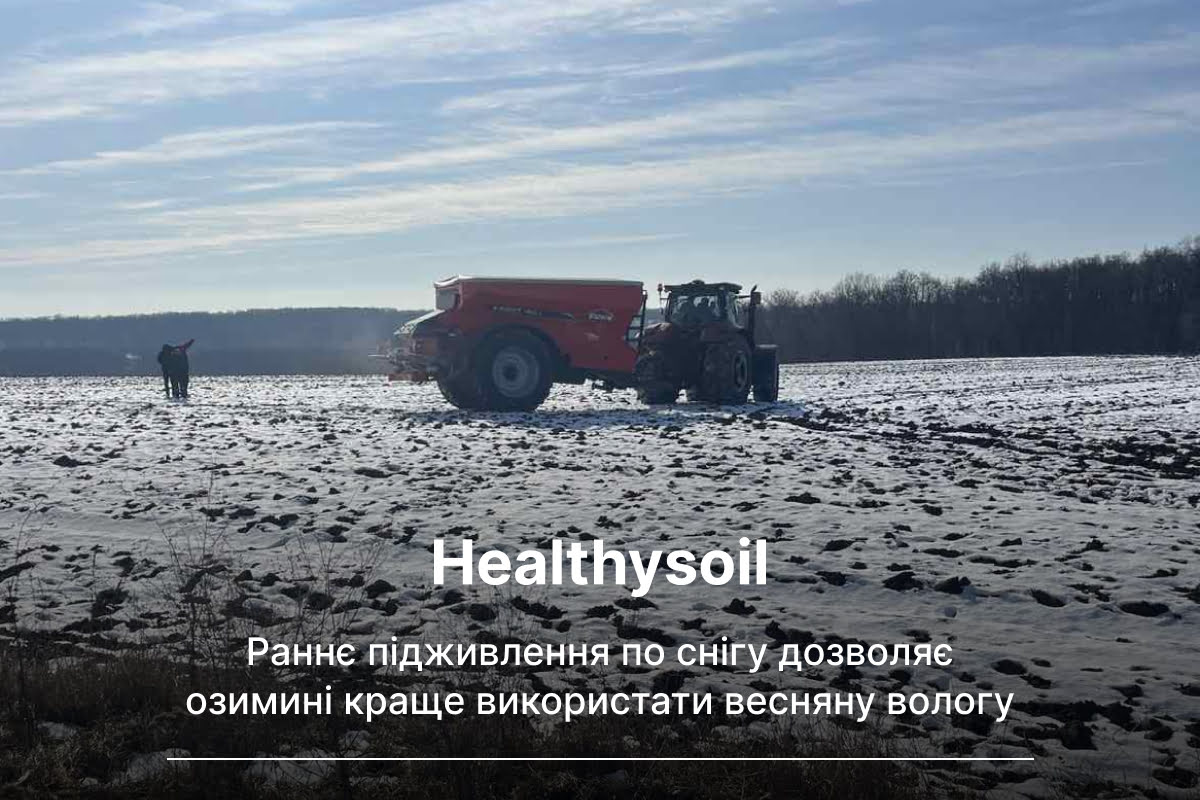 підживлення озимої пшениці