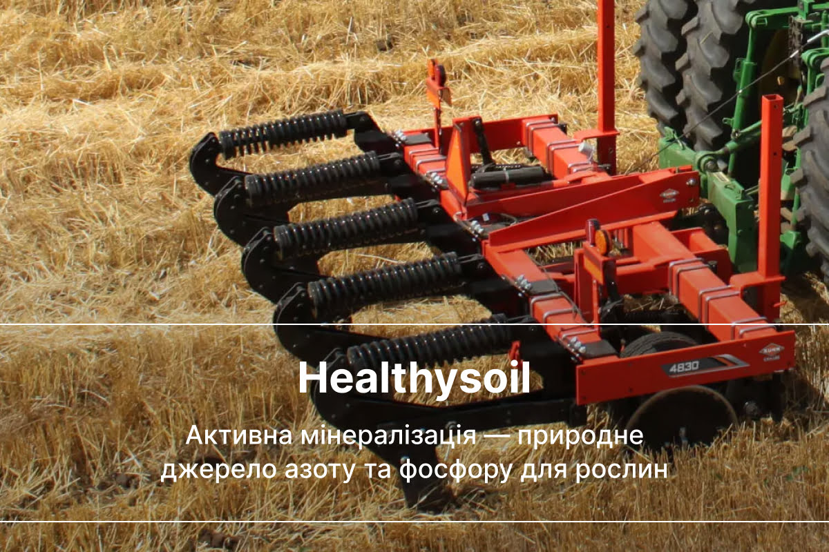 що таке мінералізація ґрунту