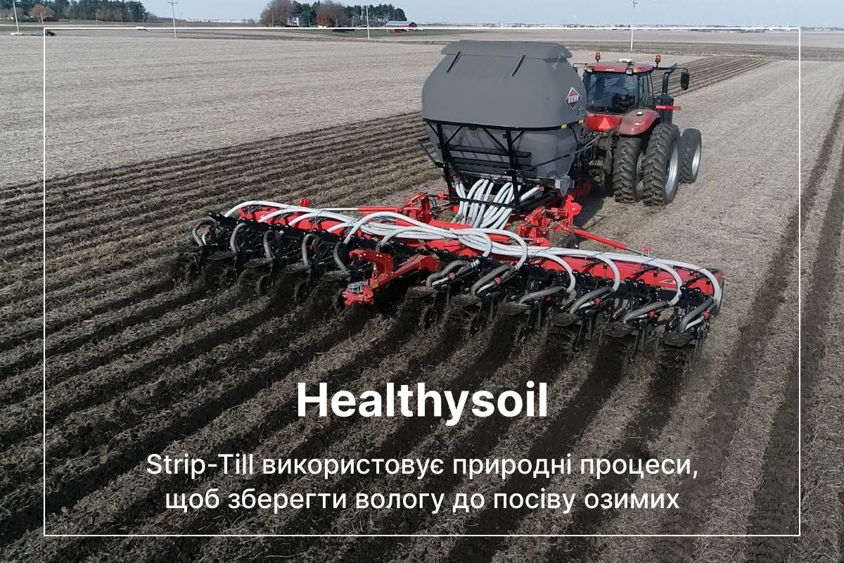як уникнути пересихання ґрунту