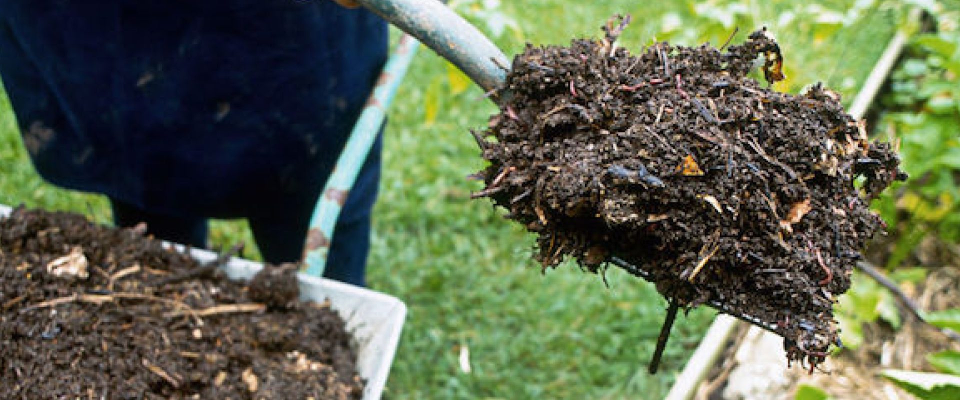 compost