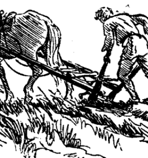 horse plow Плуг шкодить збереженню вологи в ґрунті