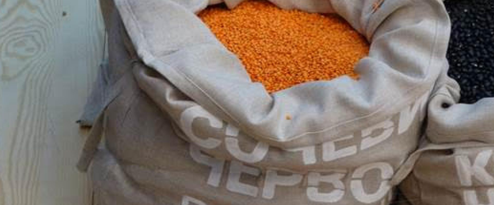 lentil