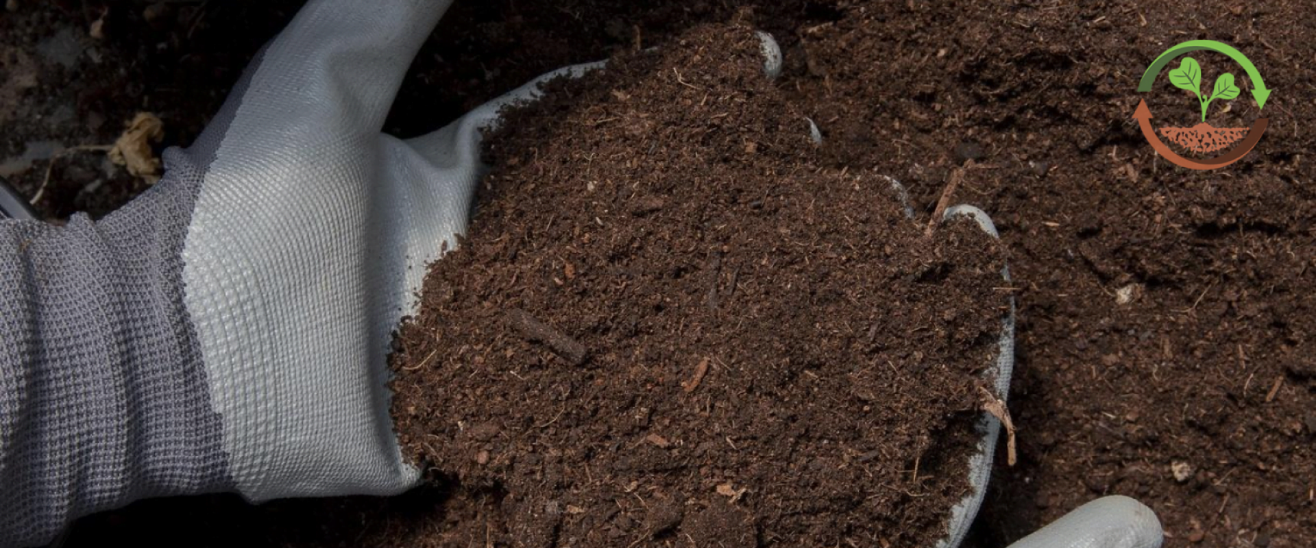 сидерати на зиму