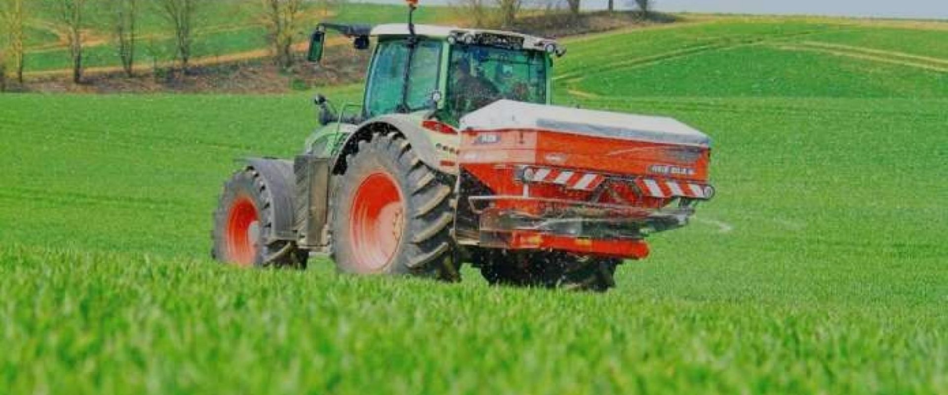 вирощування кукурудзи strip till healthy soil